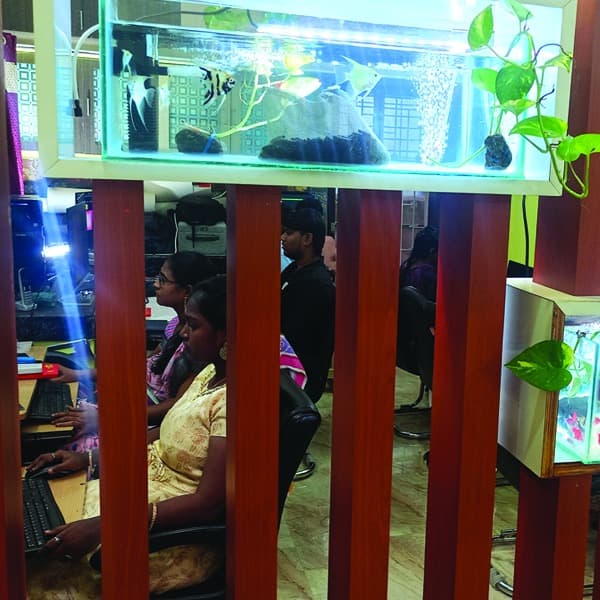 Office Aquarium View